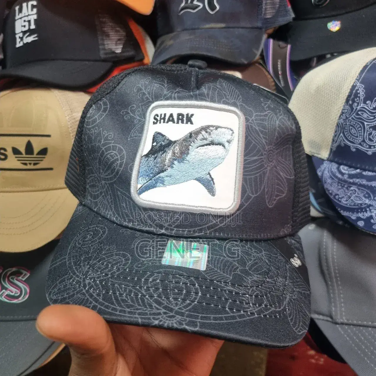 Kuma Cap's