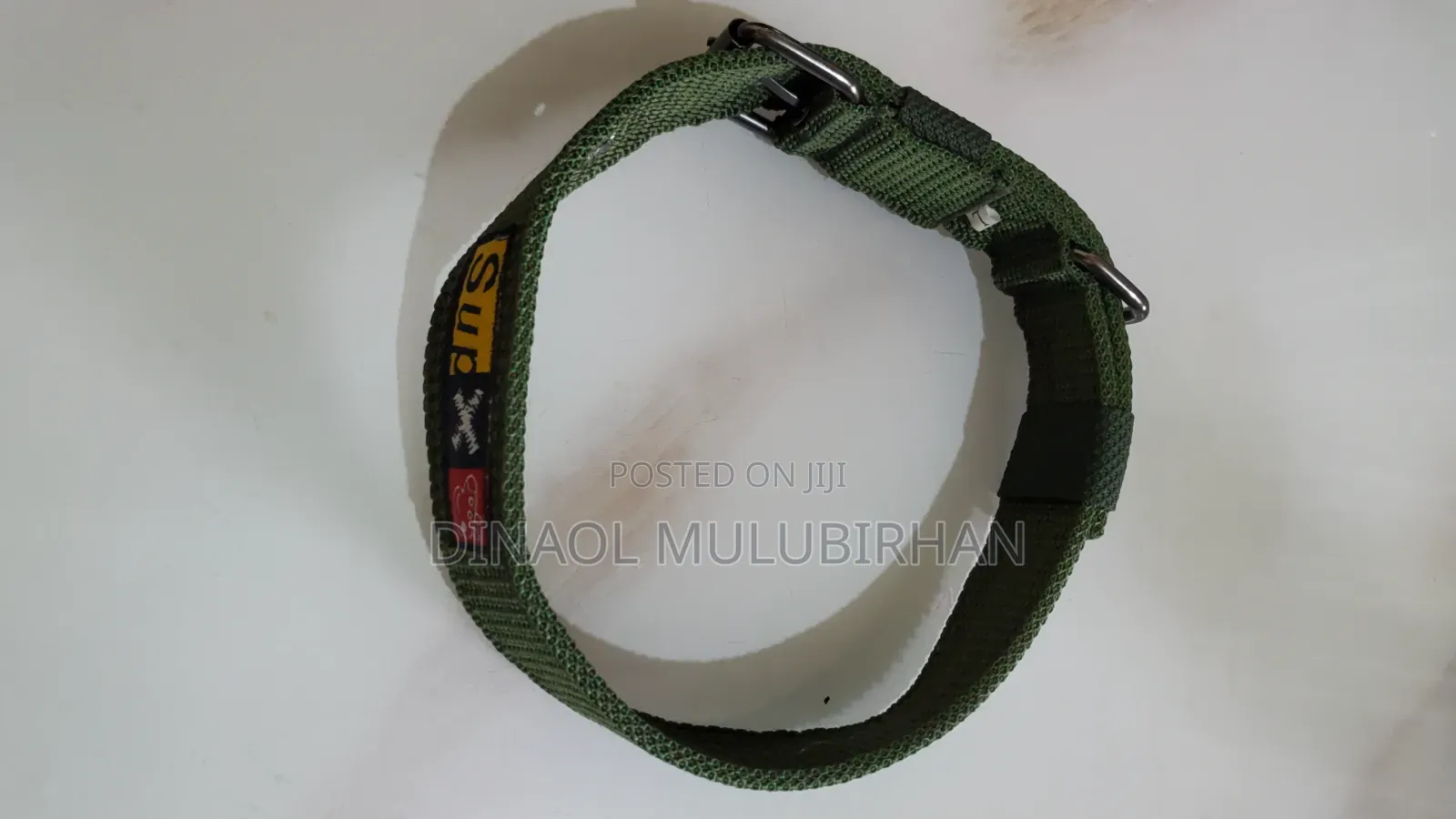 Collar for Dog