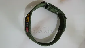 Collar for Dog