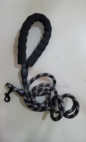 Leash for Dogs