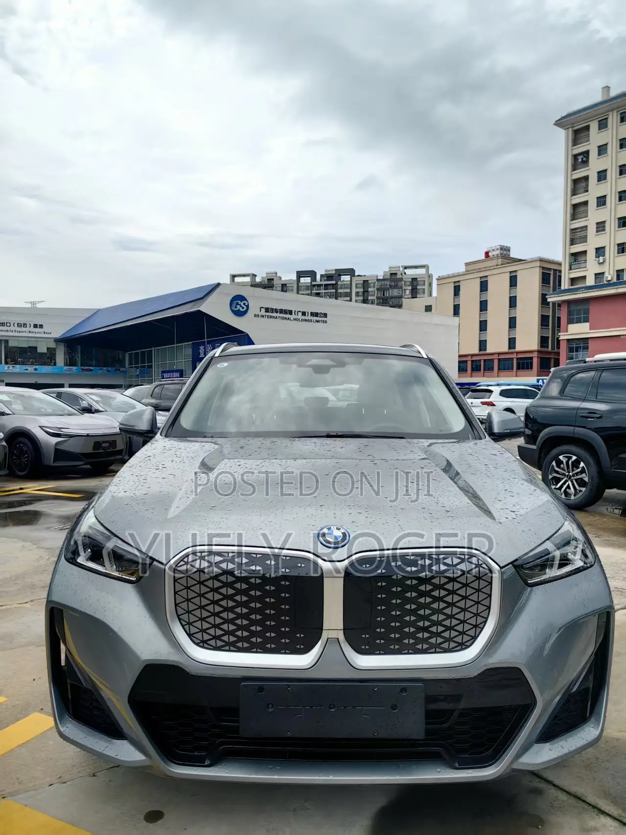 BMW iX 2025 Gray