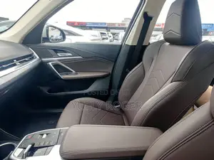 BMW iX 2025 Gray