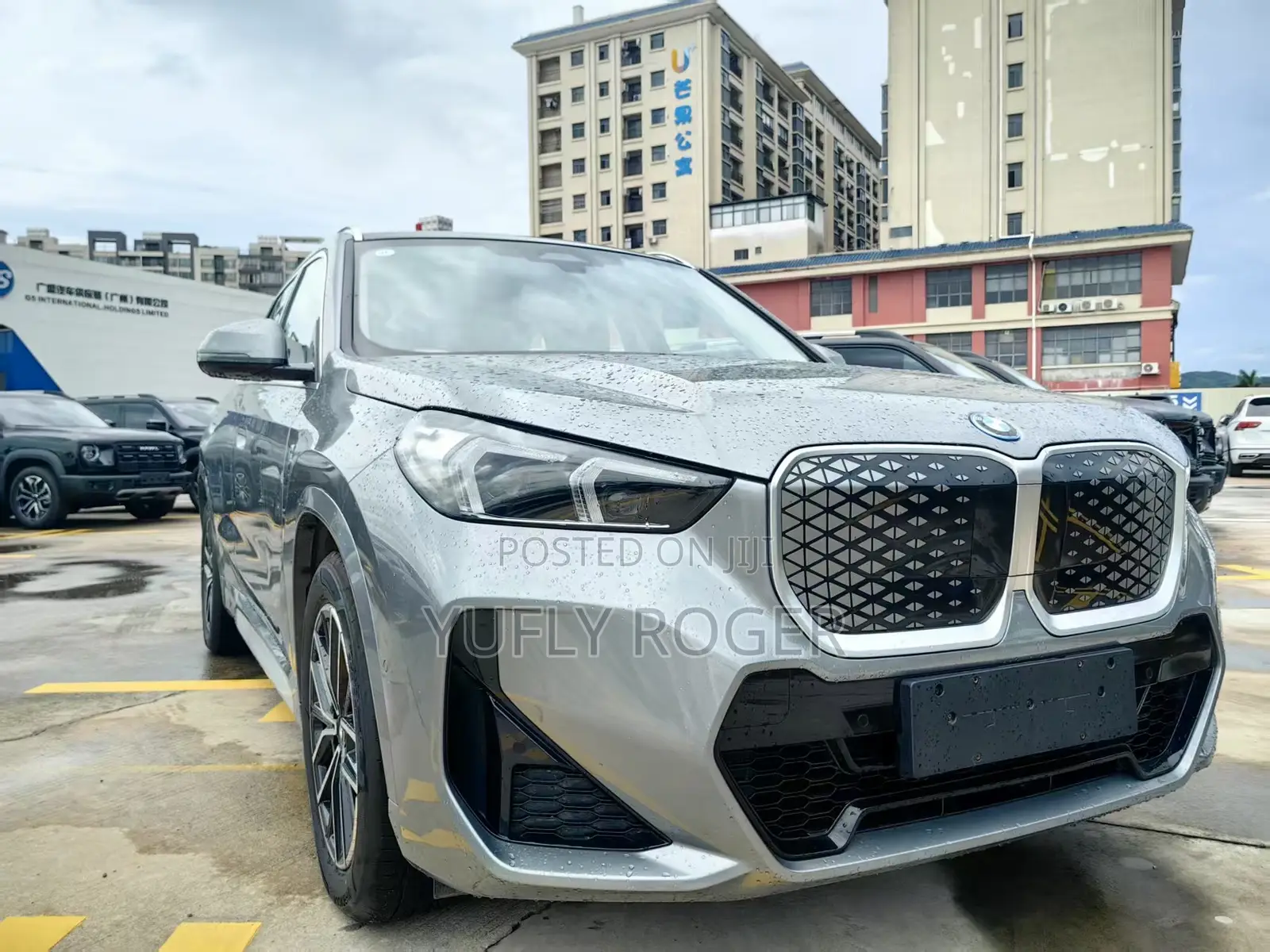 BMW iX 2025 Gray