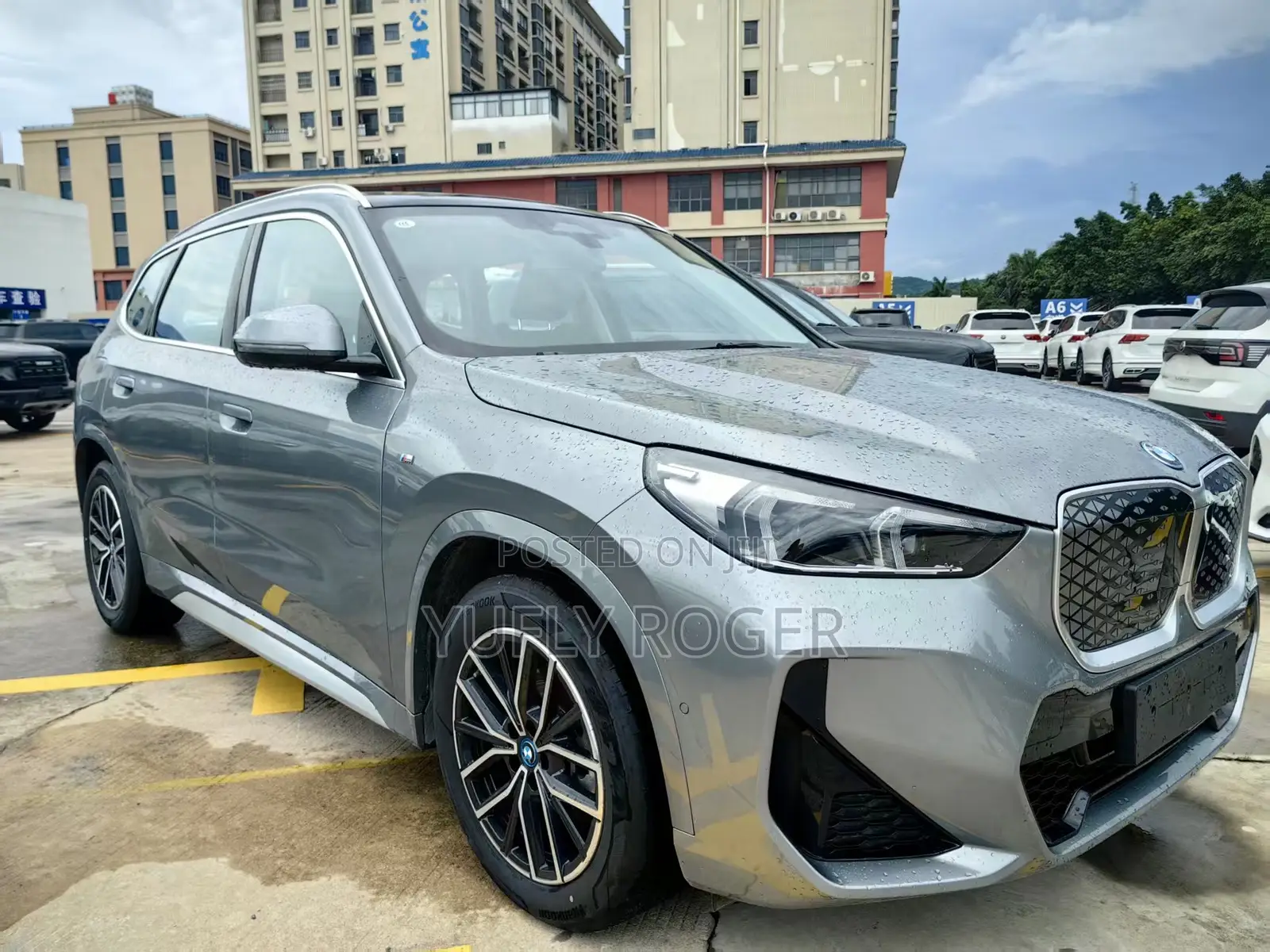 BMW iX 2025 Gray