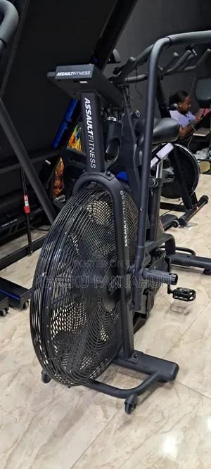 Assault Fitness Air Bike