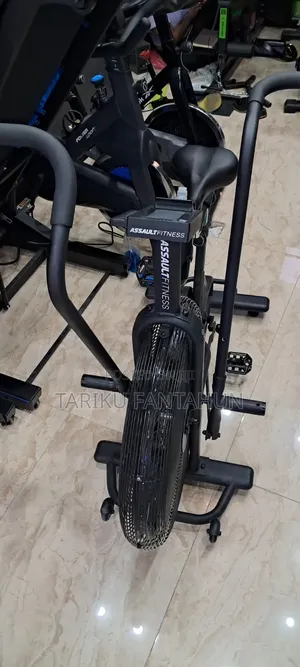 Assault Fitness Air Bike