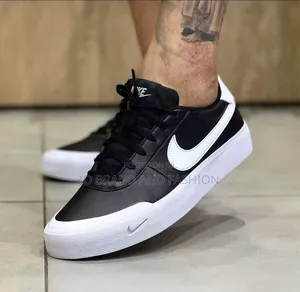 Nike Sb Shoes