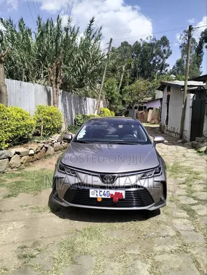 Toyota Corolla 2022 Gray