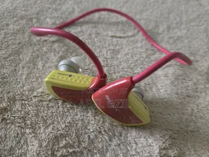 Sony NWZ-W262