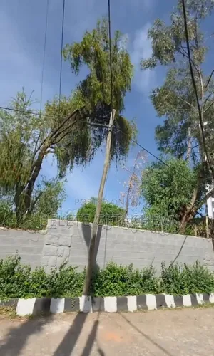 Bole-Dembel Gazebo, Land for Sale 1100sqm