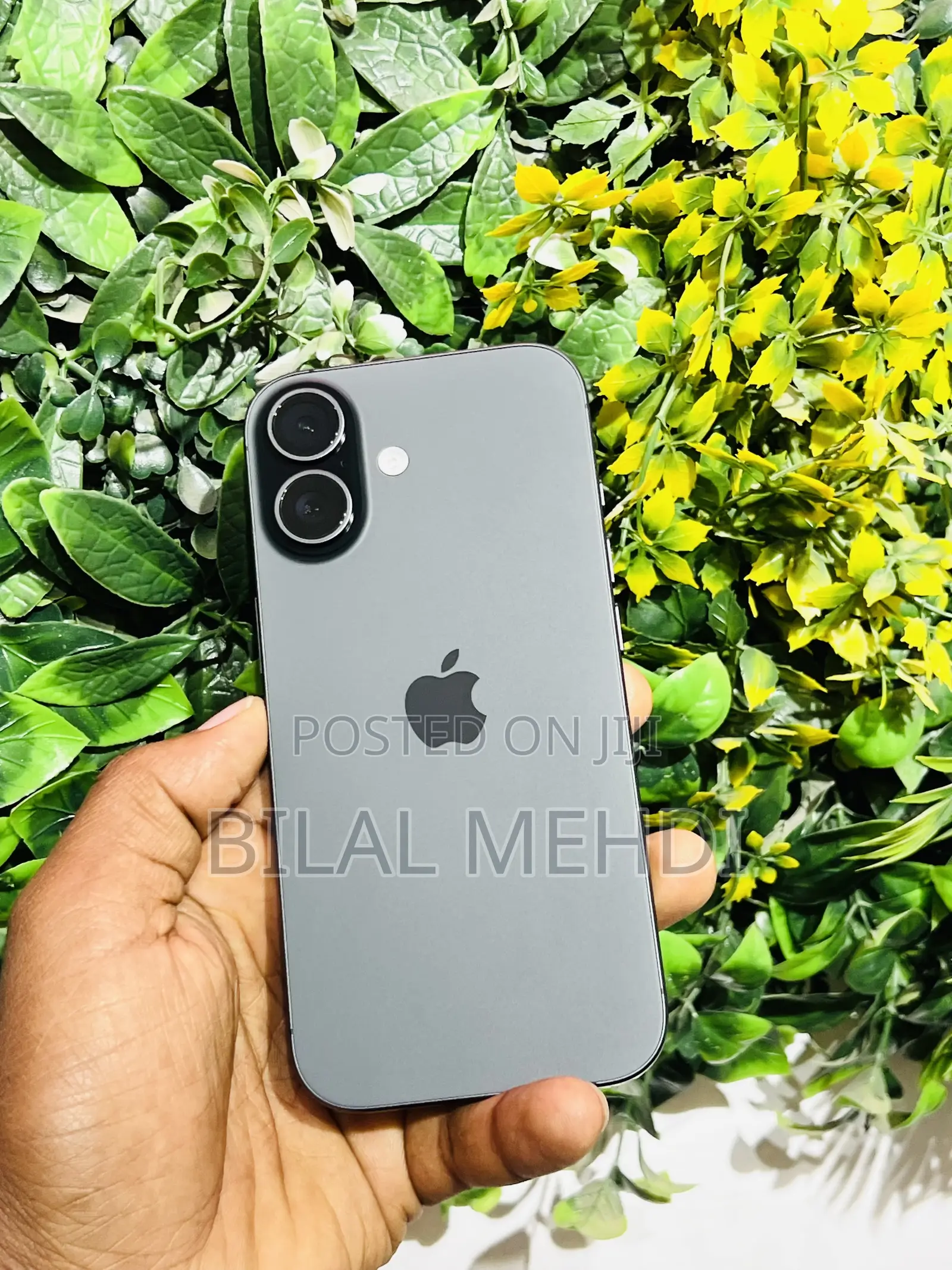 Apple iPhone 17 256 GB