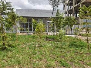Furnished 3bdrm House in Private Property, Bole for sale
