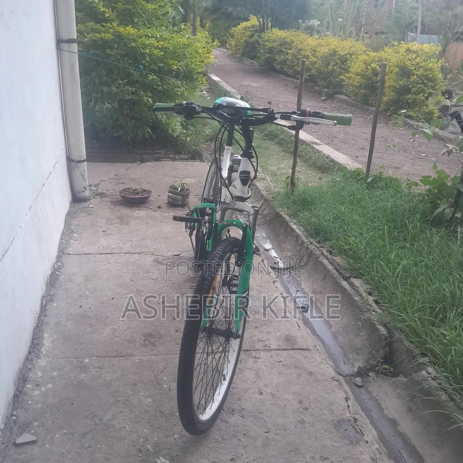 Road Bicycle