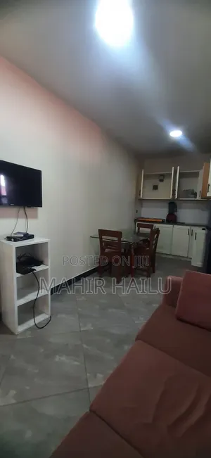 Furnished 1bdrm House in Real, Bole for rent