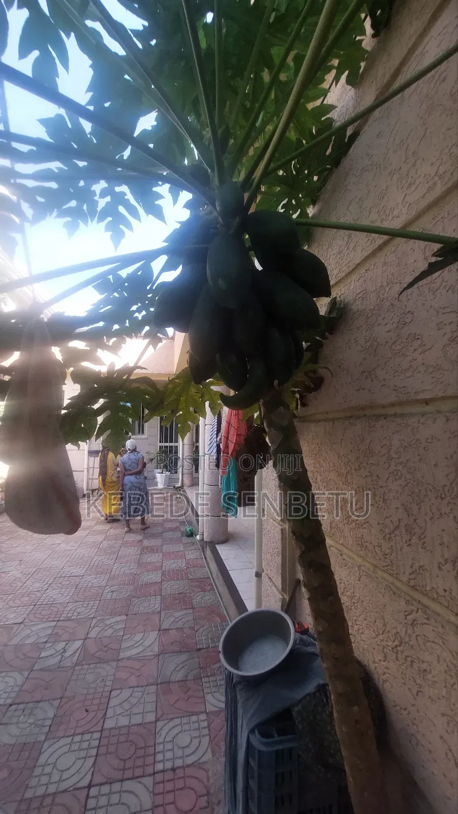 Furnished 3bdrm House in Oromia, East Shewa for rent