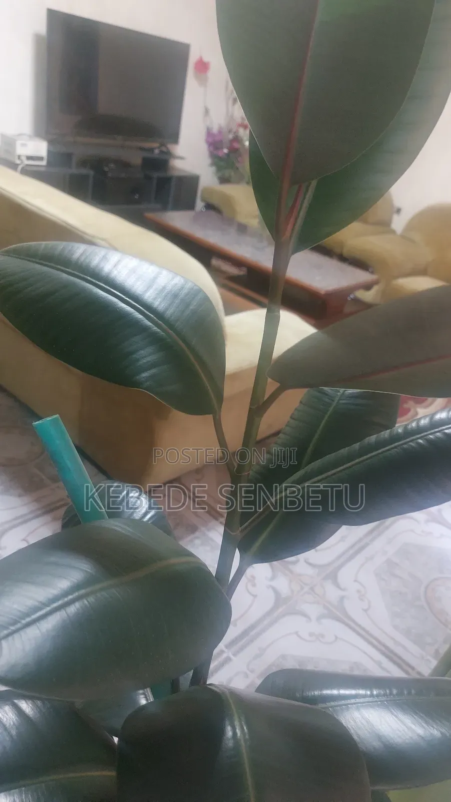 Furnished 3bdrm House in Oromia, East Shewa for rent