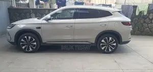 Car Rental