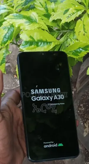 Samsung Galaxy A30 64 GB