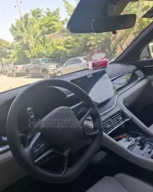 BYD Song Plus 2025 Gray
