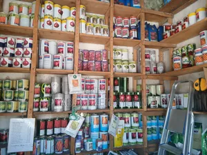 Seed Shop Home
