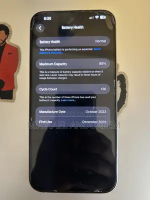 Apple iPhone 15 Pro Max 256 GB Silver