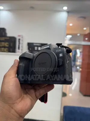 Canon R With Silver 24-105mm
