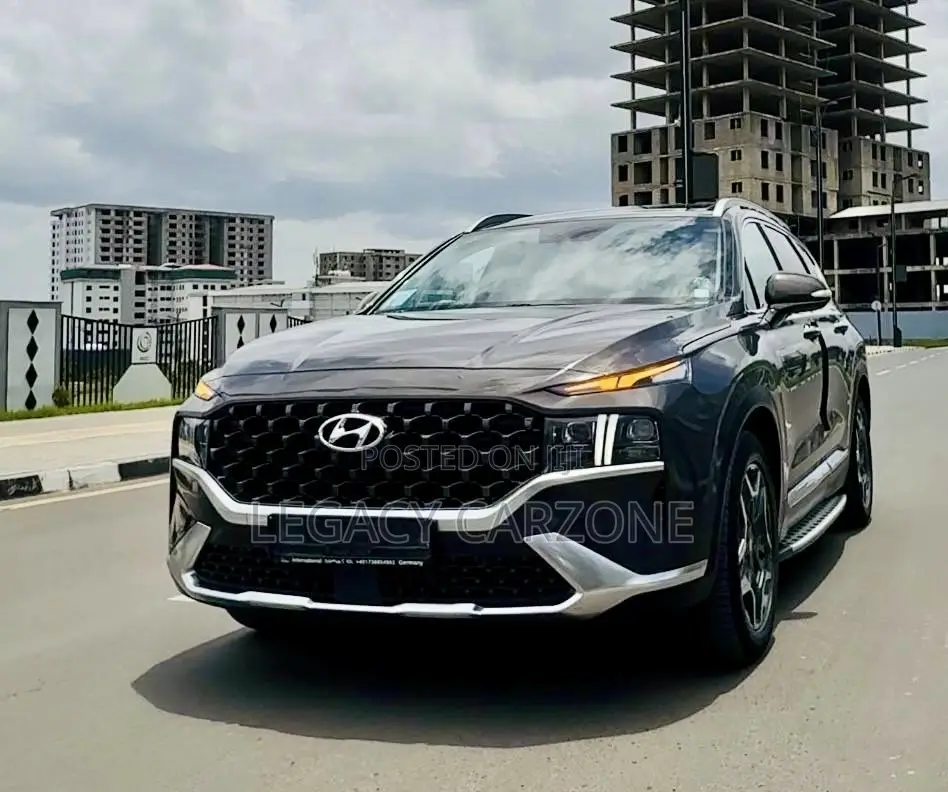 Hyundai Santa Fe 2023 Purple