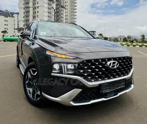 Hyundai Santa Fe 2023 Purple