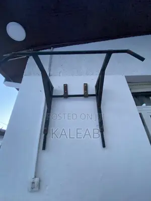 Pull-Up and Dig Up Bar