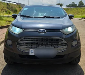 Ford Ecosport 2014 Gray
