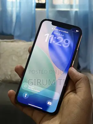 Apple iPhone 12 Pro 256 GB Gray