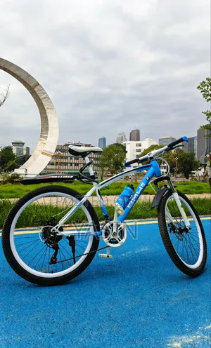 BMW Bicycle 26