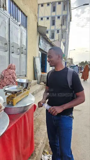 Local Host, Guide, Translator