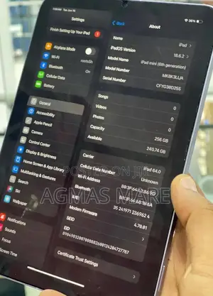 New Apple iPad mini (2024) 256 GB