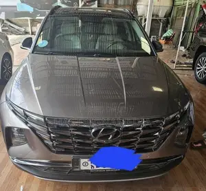 Hyundai Tucson 2021 Gray