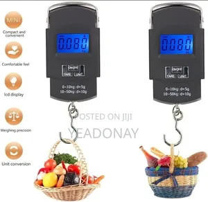 ተንቀሳቃሽ ሚዛን( Portable Scale)