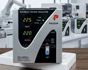 Pozzer Electronics Stabilizer DRV-3000va Voltage Regulator