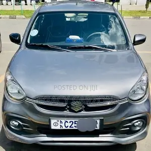 Suzuki Celerio 2022 Silver