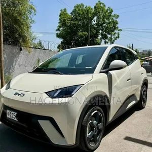 BYD Seagull 2024 White