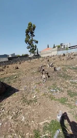 1bdrm House in ወሰን, Yeka for sale