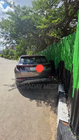Hyundai Tucson 2022 Gray