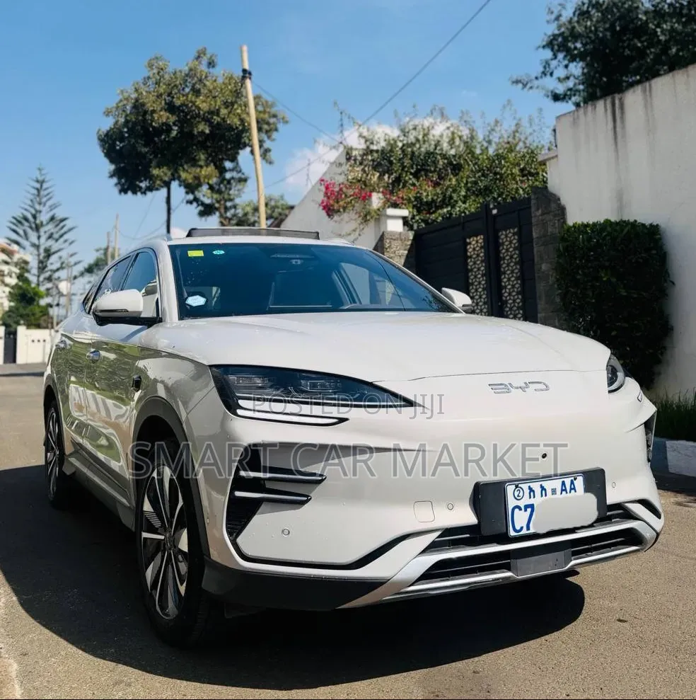 BYD Song Plus 2025 Gray