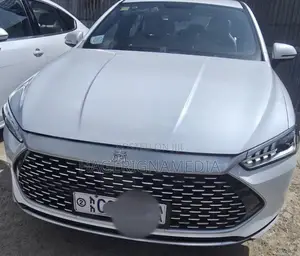 BYD Qin Plus DM-i 2022 White