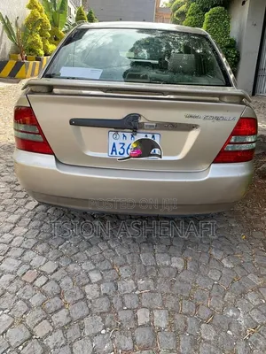 Toyota Corolla 2003 Gray