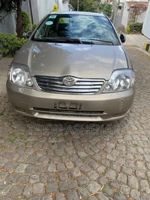 Toyota Corolla 2003 Gray