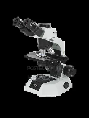 Magnus Microscope