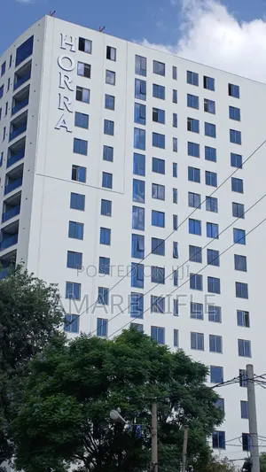 Furnished 4bdrm Apartment in Horra Real Estate, Kirkos for sale