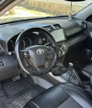 Toyota RAV4 2010 Brown