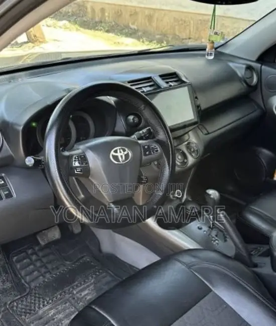 Toyota RAV4 2010 Brown