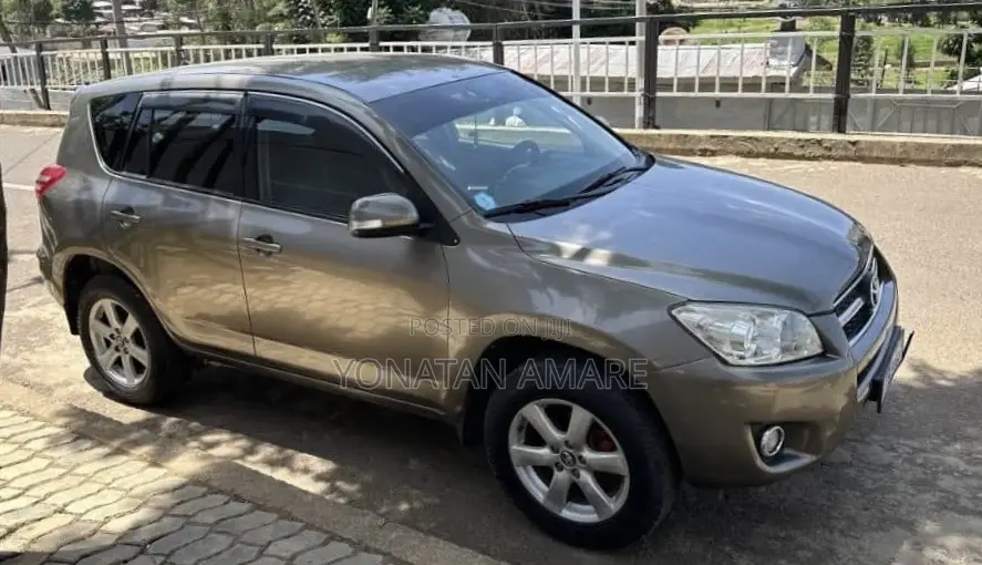 Toyota RAV4 2010 Brown